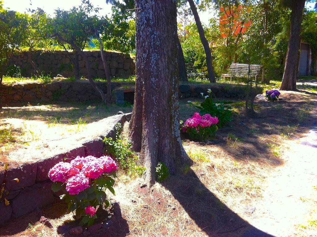 Villa Bonaccorso - Antica E Maestosa Villa Con Piscina Ai Piedi Dell'Etna วิอากรานเด ภายนอก รูปภาพ