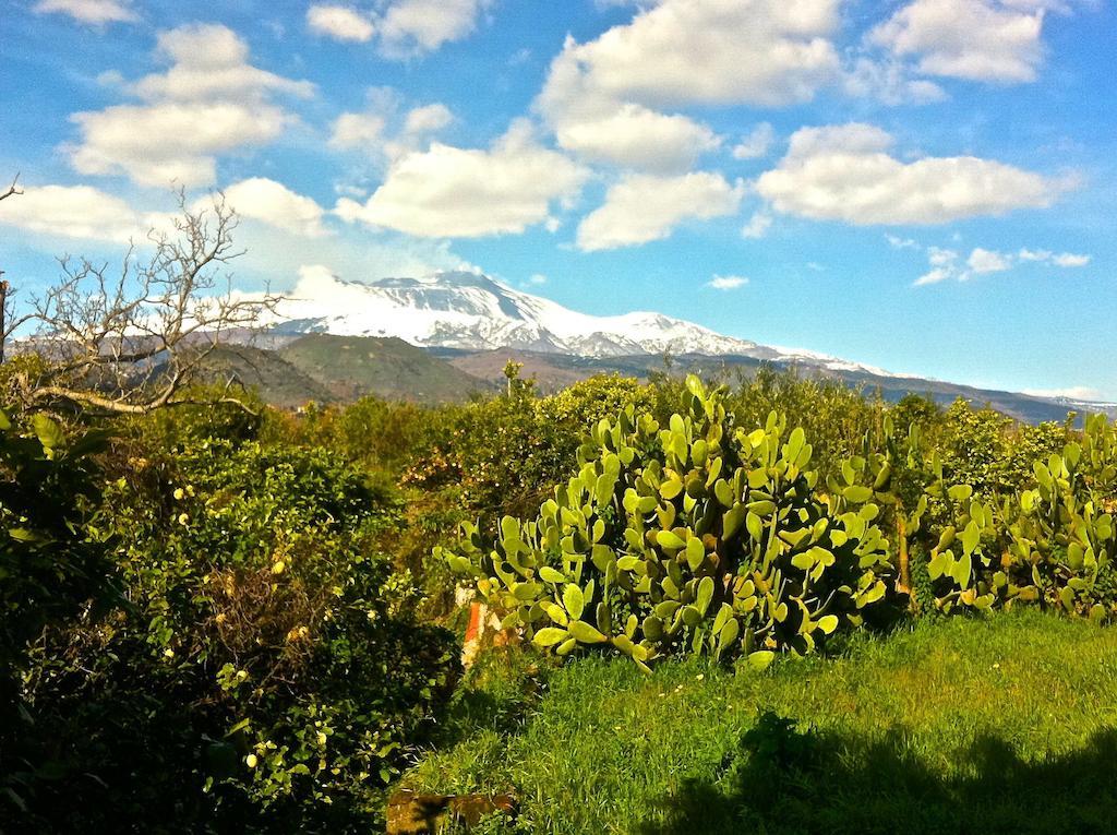 Villa Bonaccorso - Antica E Maestosa Villa Con Piscina Ai Piedi Dell'Etna วิอากรานเด ภายนอก รูปภาพ