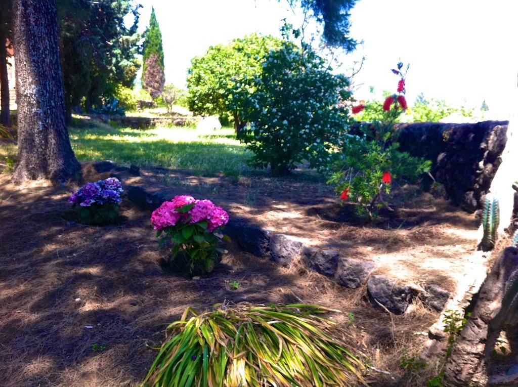 Villa Bonaccorso - Antica E Maestosa Villa Con Piscina Ai Piedi Dell'Etna วิอากรานเด ภายนอก รูปภาพ